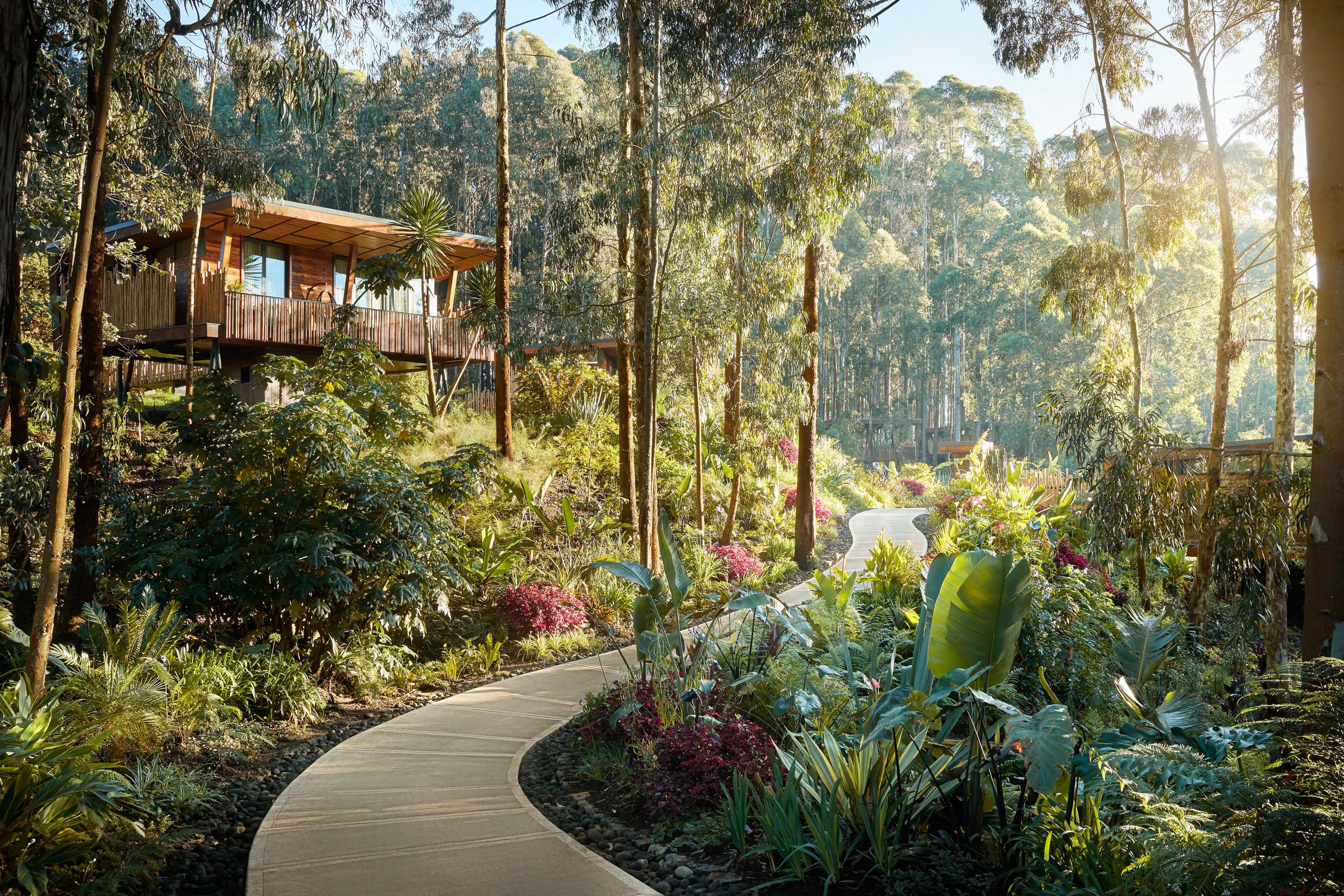 Stay at Gorilla's Nest on a Luxury Safari Rwanda and Gorilla Trekking Tours